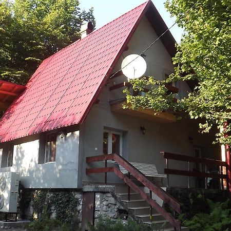 Casa De Oaspeti Boga Pietroasa  Buitenkant foto