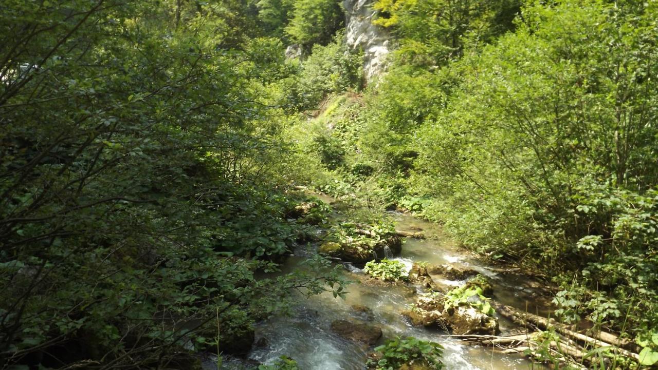 Casa De Oaspeti Boga Pietroasa  Buitenkant foto