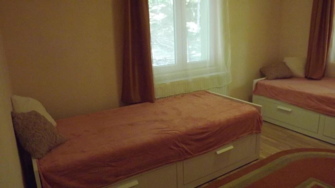 Casa De Oaspeti Boga Pietroasa  Buitenkant foto